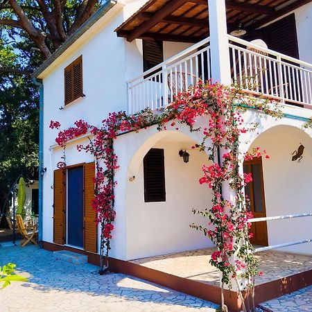 Holiday House Pinus Pinea Viganj Extérieur photo