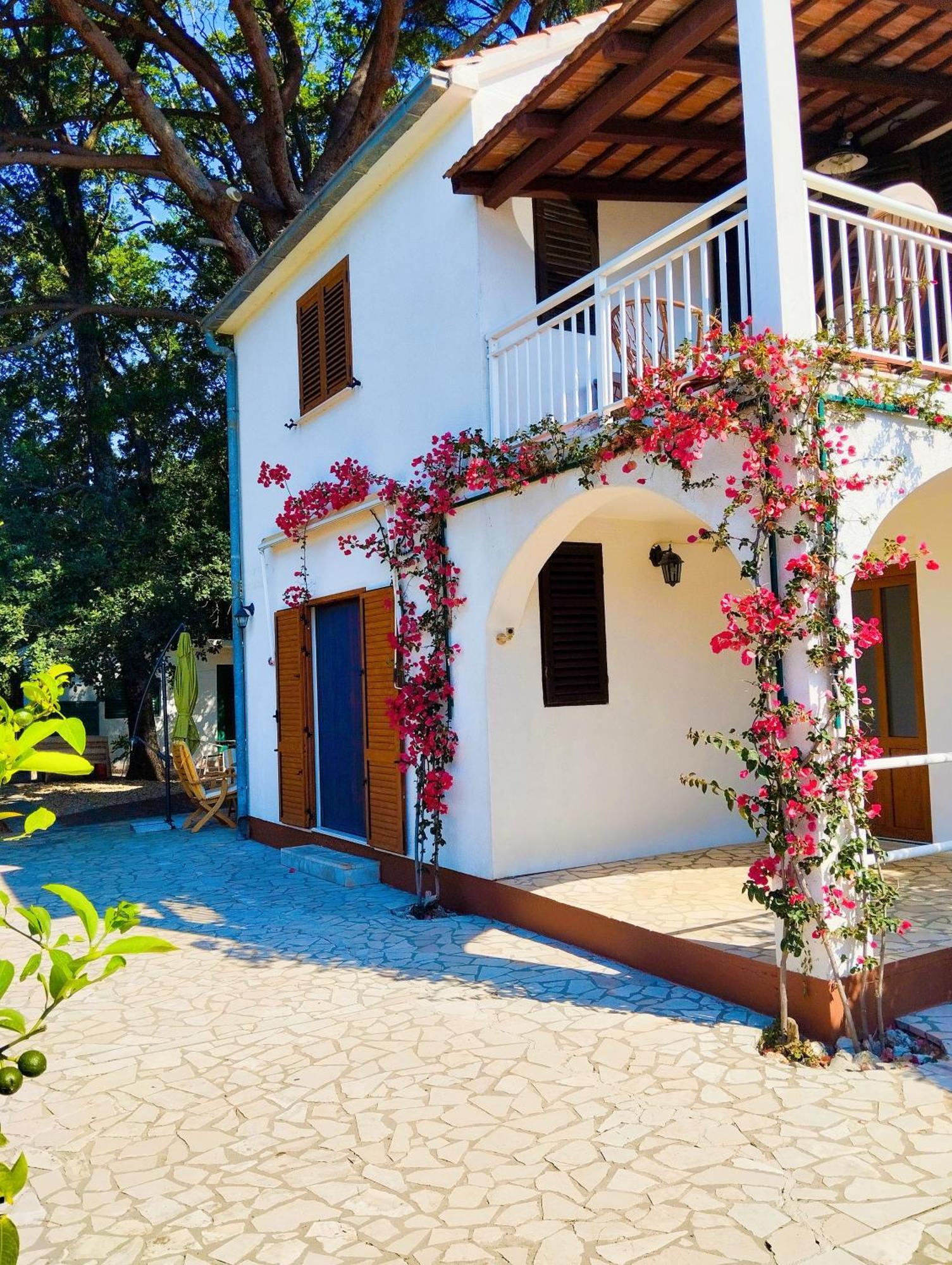 Holiday House Pinus Pinea Viganj Extérieur photo