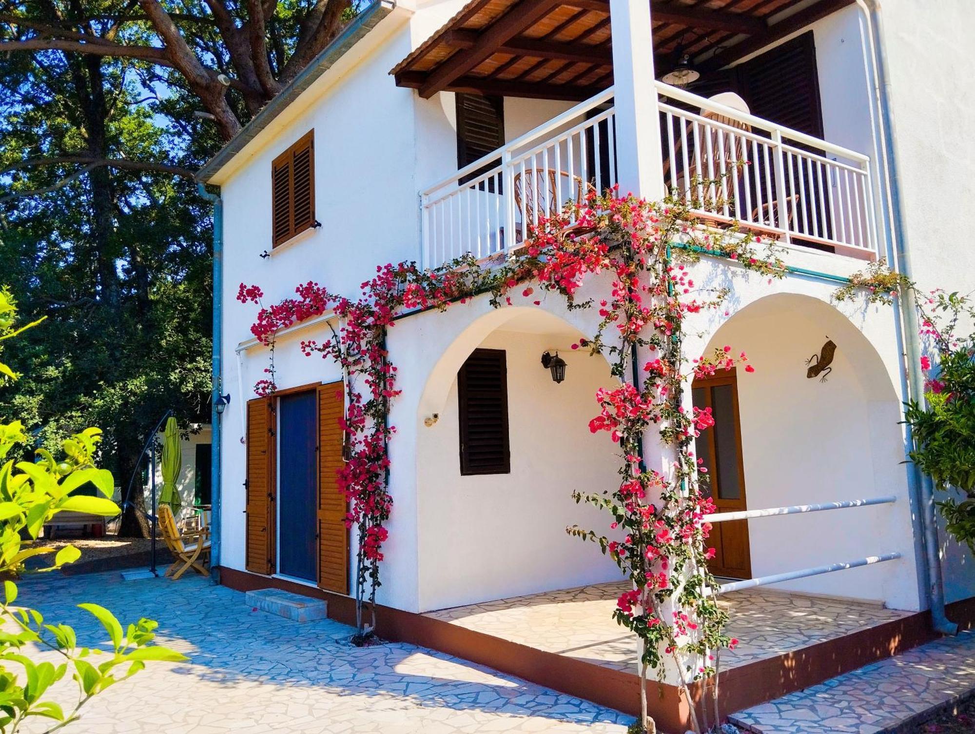 Holiday House Pinus Pinea Viganj Extérieur photo